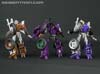 Subscription Service Tarantulas - Image #158 of 169