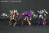 Subscription Service Tarantulas - Image #159 of 169