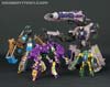 Subscription Service Tarantulas - Image #160 of 169