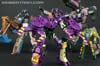 Subscription Service Tarantulas - Image #162 of 169
