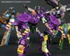 Subscription Service Tarantulas - Image #163 of 169
