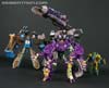 Subscription Service Tarantulas - Image #164 of 169