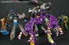 Subscription Service Tarantulas - Image #165 of 169