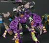 Subscription Service Tarantulas - Image #166 of 169