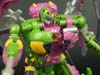 Subscription Service Thrustinator - Image #94 of 203