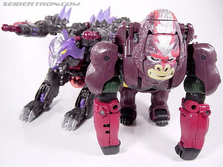 Transformers Universe Optimus Primal (Convoy) (Image #1 of 81)