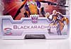 Universe Blackarachnia - Image #2 of 71