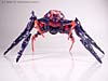 Universe Crystal Widow - Image #23 of 72