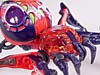 Universe Crystal Widow - Image #26 of 72