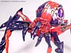 Universe Crystal Widow - Image #36 of 72