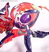 Universe Crystal Widow - Image #38 of 72