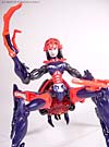 Universe Crystal Widow - Image #71 of 72