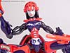 Universe Crystal Widow - Image #72 of 72