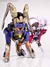 Universe Longhorn - Image #10 of 63