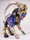 Universe Longhorn - Image #13 of 63