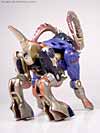 Universe Longhorn - Image #16 of 63