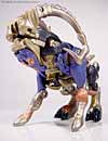 Universe Longhorn - Image #22 of 63