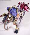 Universe Longhorn - Image #62 of 63