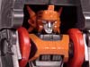 Universe Midnight Express - Image #45 of 47