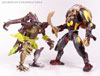 Universe Reptilion - Image #88 of 94