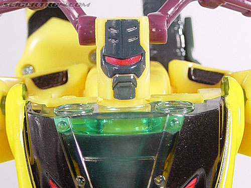 Energon Rapid Run gallery