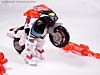 Energon Arcee - Image #79 of 95