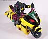 Energon Rapid Run - Image #35 of 94