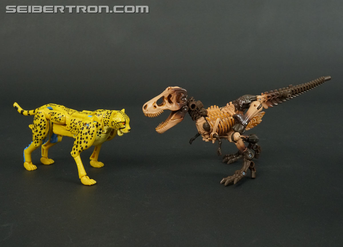 Transformers War for Cybertron: Kingdom Paleotrex (Image #54 of 173)