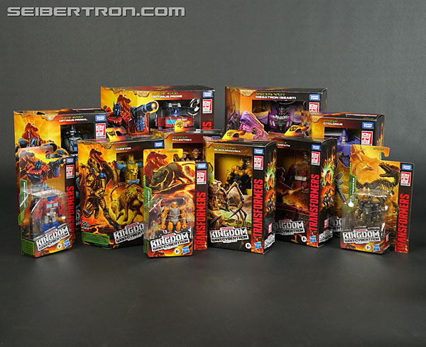 Transformers War for Cybertron: Kingdom Blackarachnia (Image #15 of 162)
