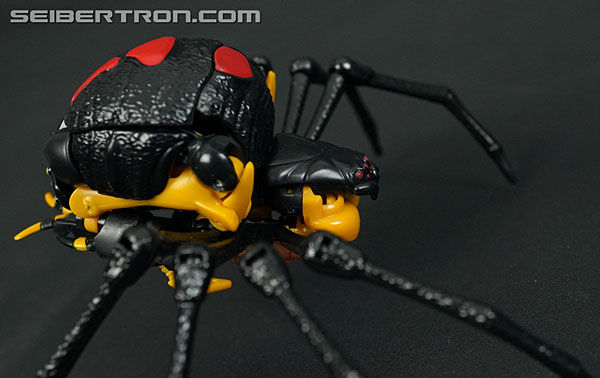Transformers War for Cybertron: Kingdom Blackarachnia (Image #37 of 162)