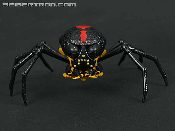 Transformers War for Cybertron: Kingdom Blackarachnia (Image #40 of 162)