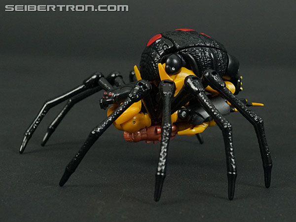 Transformers War for Cybertron: Kingdom Blackarachnia (Image #42 of 162)