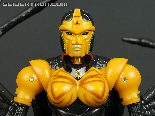 Blackarachnia