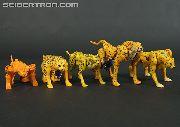 Transformers News: New Galleries: War for Cybertron Kingdom Rattrap and Cheetor Transformers News: New Galleries: War for Cybertron Kingdom Rattrap and Cheetor
