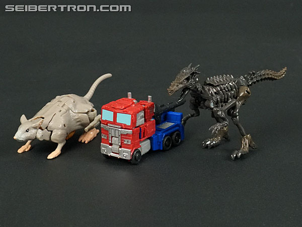 Transformers News: New Gallery: Transformers War for Cybertron Kingdom Core Class WFC-K1 Optimus Prime Transformers News: New Gallery: Transformers War for Cybertron Kingdom Core Class WFC-K1 Optimus Prime