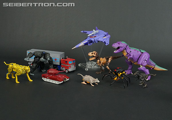 Transformers News: New Gallery: War for Cybertron Kingdom Voyager Class WFC-K9 Cyclonus Transformers News: New Gallery: War for Cybertron Kingdom Voyager Class WFC-K9 Cyclonus