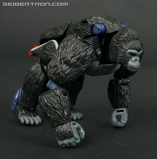 Transformers News: New Gallery: Transformers War for Cybertron Kingdom WFC-K8 Optimus Primal Transformers News: New Gallery: Transformers War for Cybertron Kingdom WFC-K8 Optimus Primal