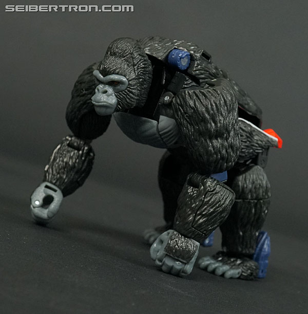 Transformers War for Cybertron: Kingdom Optimus Primal (Image #43 of 221)