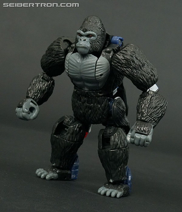 Transformers News: New Gallery: Transformers War for Cybertron Kingdom WFC-K8 Optimus Primal Transformers News: New Gallery: Transformers War for Cybertron Kingdom WFC-K8 Optimus Primal