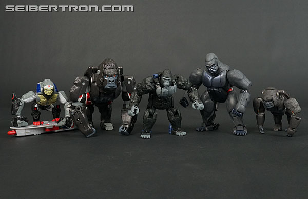 Transformers News: New Gallery: Transformers War for Cybertron Kingdom WFC-K8 Optimus Primal Transformers News: New Gallery: Transformers War for Cybertron Kingdom WFC-K8 Optimus Primal
