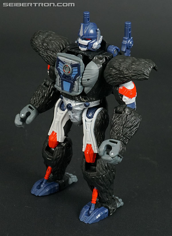 Transformers News: New Gallery: Transformers War for Cybertron Kingdom WFC-K8 Optimus Primal Transformers News: New Gallery: Transformers War for Cybertron Kingdom WFC-K8 Optimus Primal