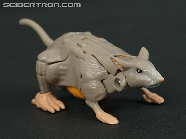 Transformers News: New Galleries: War for Cybertron Kingdom Rattrap and Cheetor Transformers News: New Galleries: War for Cybertron Kingdom Rattrap and Cheetor