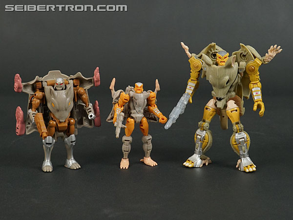 Transformers News: New Galleries: War for Cybertron Kingdom Rattrap and Cheetor Transformers News: New Galleries: War for Cybertron Kingdom Rattrap and Cheetor