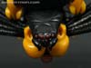 War for Cybertron: Kingdom Blackarachnia - Image #34 of 162