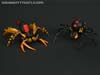 War for Cybertron: Kingdom Blackarachnia - Image #63 of 162