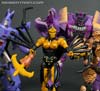 War for Cybertron: Kingdom Blackarachnia - Image #158 of 162