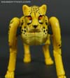 War for Cybertron: Kingdom Cheetor - Image #27 of 153