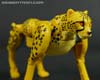 War for Cybertron: Kingdom Cheetor - Image #30 of 153