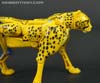 War for Cybertron: Kingdom Cheetor - Image #34 of 153