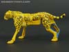 War for Cybertron: Kingdom Cheetor - Image #39 of 153
